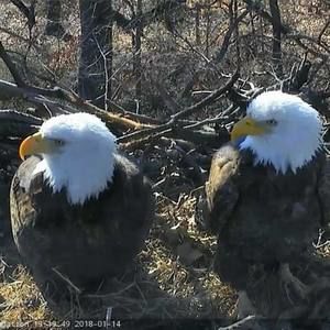 Meet your Posher, Ginny